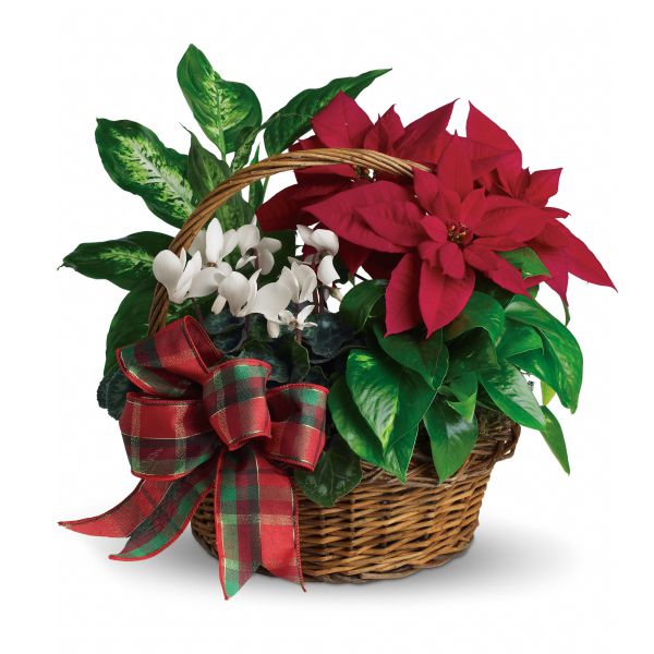 Holiday Homecoming Basket